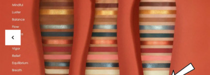 Один из Zendo. Natasha Denona Zendo palette Sense