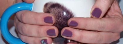 I'm Feeling Sashy Nail Lacquer от O. P. I. NL U09  Мой осенний красавец
