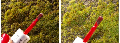 Essie Nail Polish Forever Yummy 57 - любимый красный