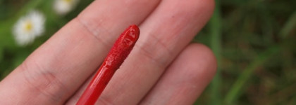 Сбывшаяся мечта о Nouba Millebaci Long Lasting Lip Color Nr.7