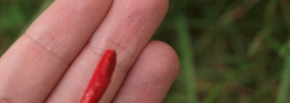 Сбывшаяся мечта о Nouba Millebaci Long Lasting Lip Color Nr.7