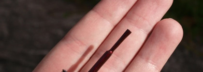 Великолепный Smolder от Orly, Lacquer Vernis Esmalte 20770