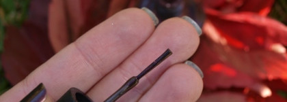 Мечта стала явью или OPI Muir Muir on the Wall, Nail Lacquer NL F61