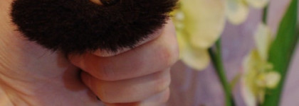 Мои базовые кисти: Mac, Inglot, Mary Kay и другие