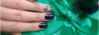 OPI Russian Navy