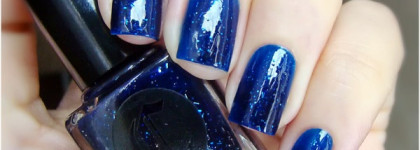 Cirque Tibetan Nights