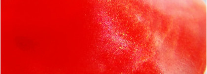 Sally Hansen Complete Salon Manicure Cherries To My Aries и осенний дизайн с плитой BornPrettyStore 024