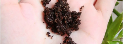 Riche Coffee Bean Scrub Chocolate - кофейный скраб с гималайской розовой солью и маслом макадамии