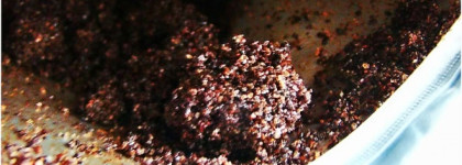 Riche Coffee Bean Scrub Chocolate - кофейный скраб с гималайской розовой солью и маслом макадамии