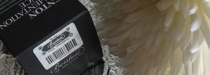 Benton Fermentation Essence