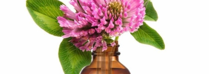 Новенькое у The Ordinary