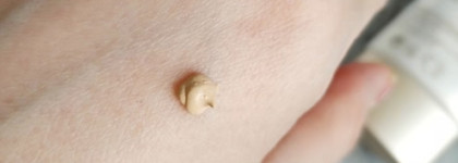 Jane Iredale Dream Tint. Shiseido Synchro Skin Glow