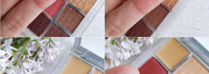 Dior Backstage Eye Palette Rosewood Neutrals