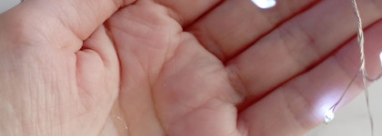 Три средства с комбучкой от Let's Bloom