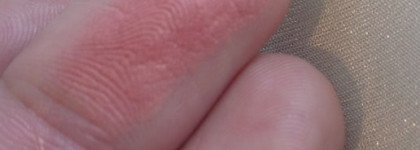 Румяна Shiseido Luminizing Satin Face Color № RD 103