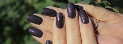 Сatrice 200 From dusk to dawn