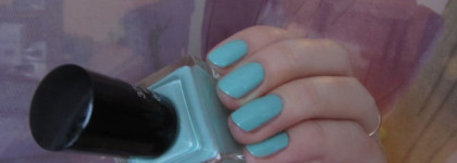Первая весенняя ласточка Anny Nail Polish mint dolphin 378,50