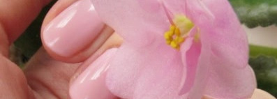 Anny Nail Polish № 250 French kiss и Anny Nail Polish № 373.10 Lucky surfer girl