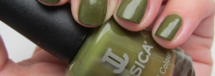 Осенний камуфляж с Jessica #668 Victorian Crush