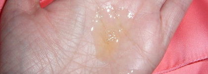 Два японца в моем уходе за волосами от Moltobene