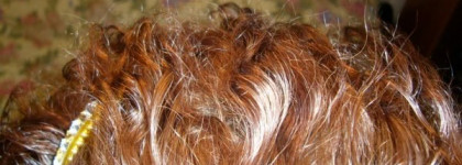 Два японца в моем уходе за волосами от Moltobene