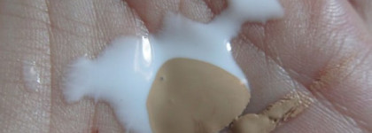 Мои весенние обновки. Часть 2: всё для ровного тона