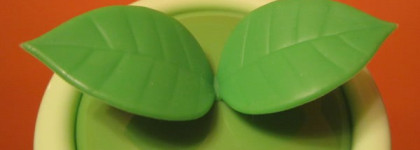 Замена гидрофильному маслу - Tony Moly Clean Dew Broccoli Sprout Cleansing Cream — Крем для умывания на основе экстракта побегов брокколи