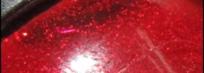 Мой первый орлёнок - Orly Star Spangled