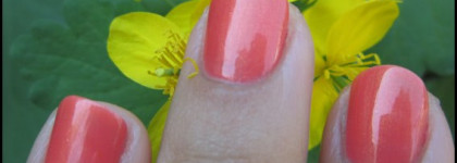 Мой любимый рыжик - Orly Orange sorbet