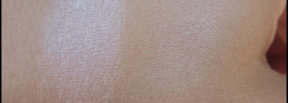 Идеальные тени для пигментированных век - Max Factor Wild Shadow Pot 101 Pale Pebble