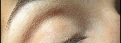 Идеальные тени для пигментированных век - Max Factor Wild Shadow Pot 101 Pale Pebble