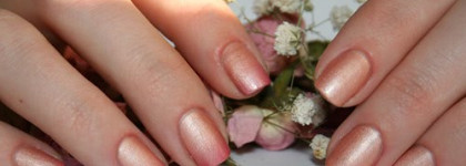 Dance Legend №163 (термолак)