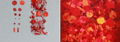 Golden Rose Carnival #15 + Golden Rose Rich color #35