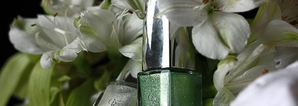 Лак Golden Rose Holiday #73 и Golden Rose Holiday #70