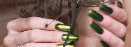 Dance Legend коллекция "Chameleon" #095 "Wazowski"