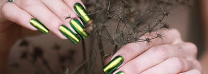 Dance Legend коллекция "Chameleon" #095 "Wazowski"