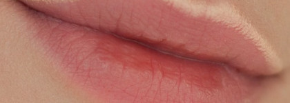 El Corazon Professional Collection Помада  Сатин Люкс #219