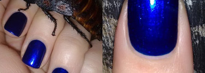 Dance Legend #500 +  Lady Rose #553