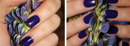 Rimmel 60 seconds # 810 Blue My Mind