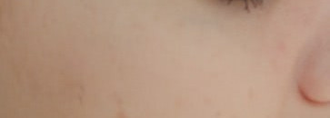 прозрачная пудра Shiseido Loose Translucent Powder