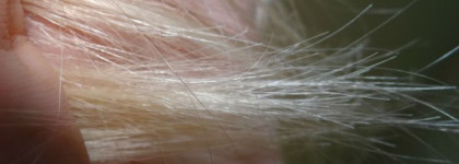 CHI silk infusion, Находка для волос