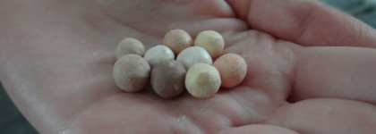 Guerlain Meteorites Perles Powder Face 03 Beige Chic