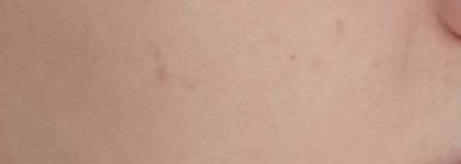 Shiseido Dual Balancing Foundation SPF 17, natural light beige