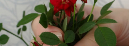 OPI Germany Collection Ger-minis, Mini Nail Lacquer