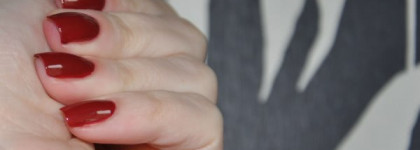 El Corazon Charm and Beauty #879