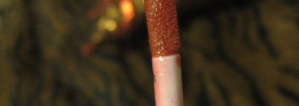 Мой любимый блеск -  Estee Lauder Pure Color Gloss – Garnet Desire, #15