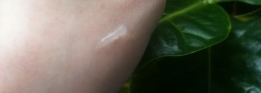 База для макияжа глаз Velvet Touch Eye Primer от Gosh