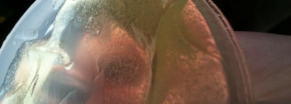 Банный день