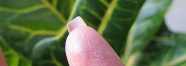 Dior 5 Couleurs Designer All-in-one Artistry Palette 808 Pink Design