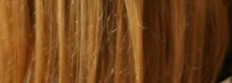 Уход для волос: Redken и Kerastase